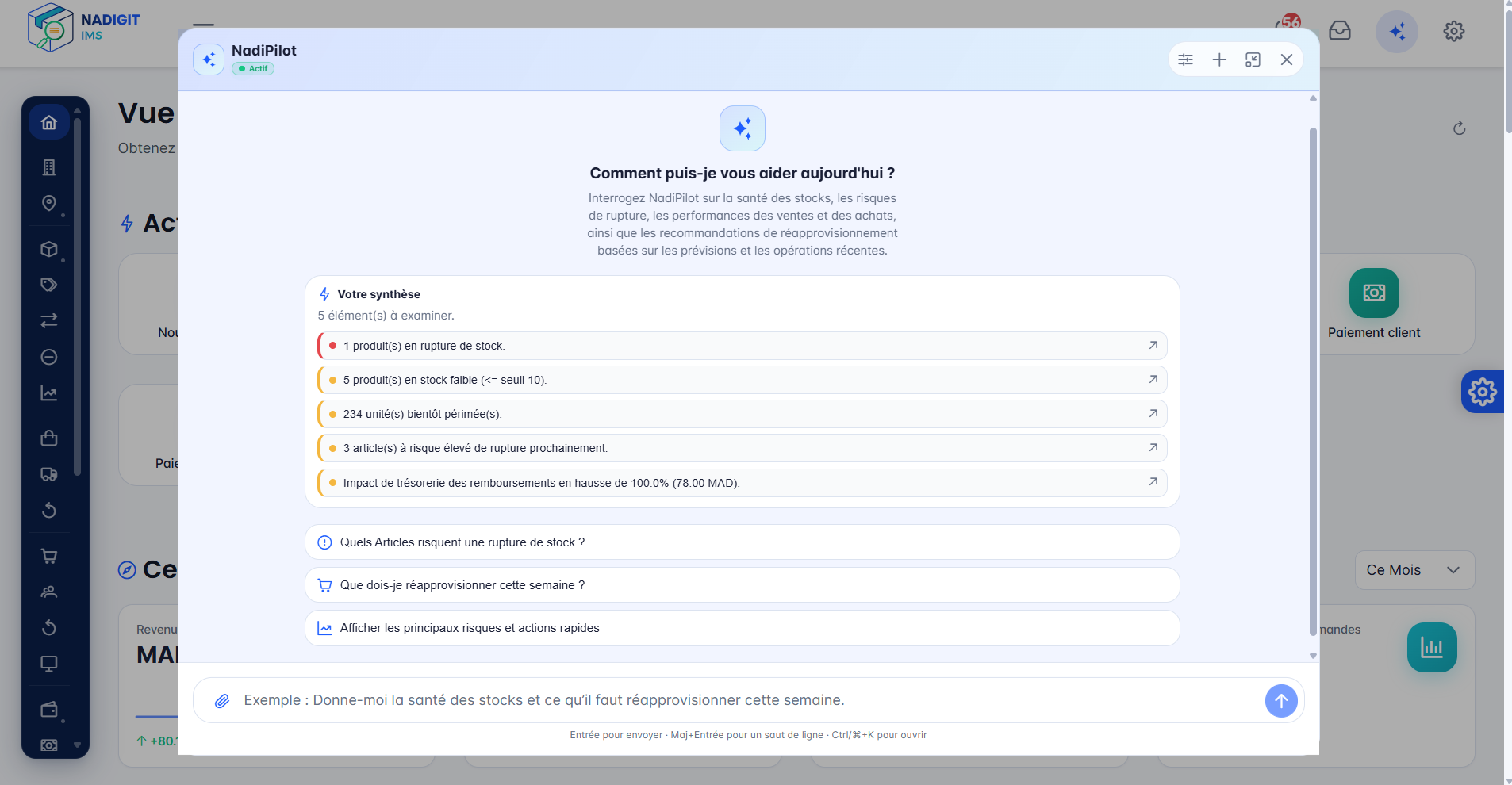 NadiPilot en action - réponse IA avec liste de stock par entrepôt et quantités en temps réel