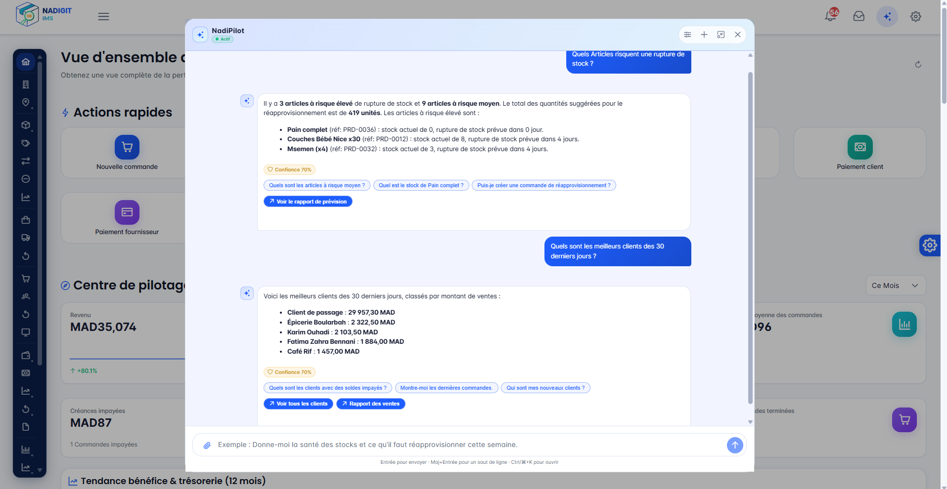 NadiPilot - Copilote IA Nadigit IMS : questions rapides et recommandations de réapprovisionnement